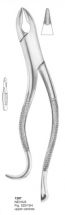  NEVIUS Fig. 325-10H upper canines 
